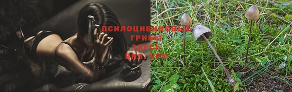 мескалин Магадан