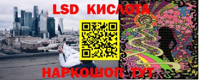 крисы Дубна