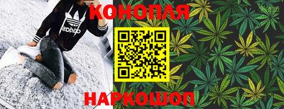 PSILOCYBIN Донской