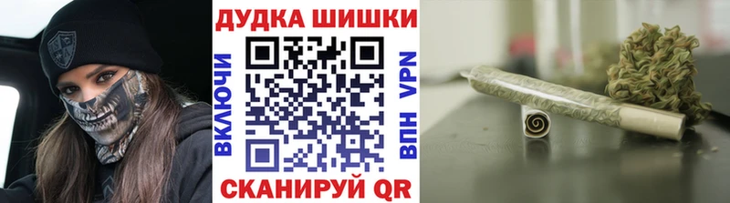 что такое Ногинск Бошки Шишки ГИДРОПОН